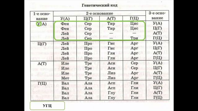 Биология 9 урок, 1 четверть смотреть онлайн