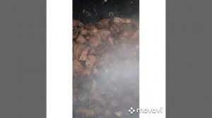 Бараний ливер с овощами.