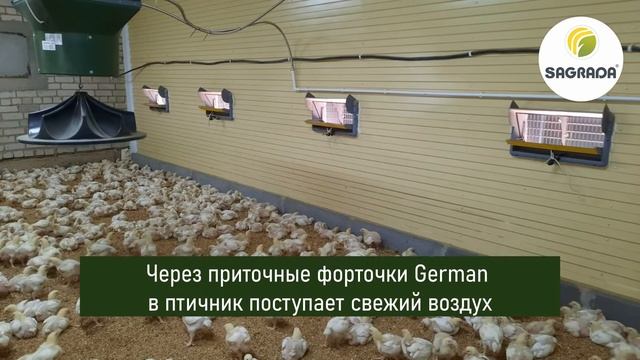 Птичник для бройлеров на 1000 голов | Инсталляция SAGRADA смотреть онлайн