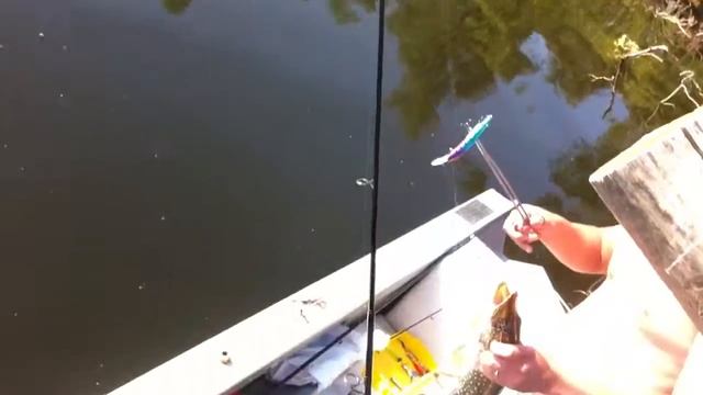 Саратов,село Чардым, Форватер ,ловим Щуку . смотреть онлайн