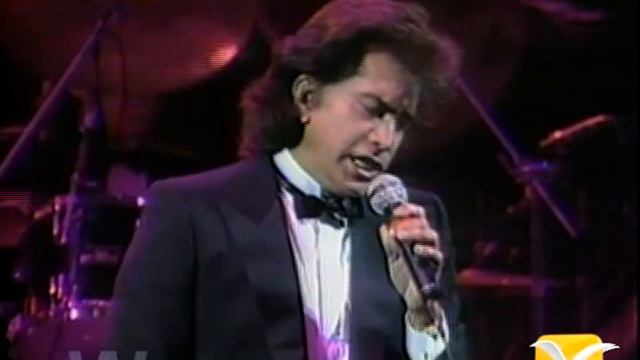 Jose Luis Rodriguez, De punta a punta, Festival de Viña 1991 смотреть онлайн