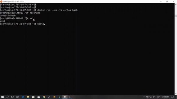 76. The Host Network || Docker, From Zero To Hero Become a DevOps Docker Master