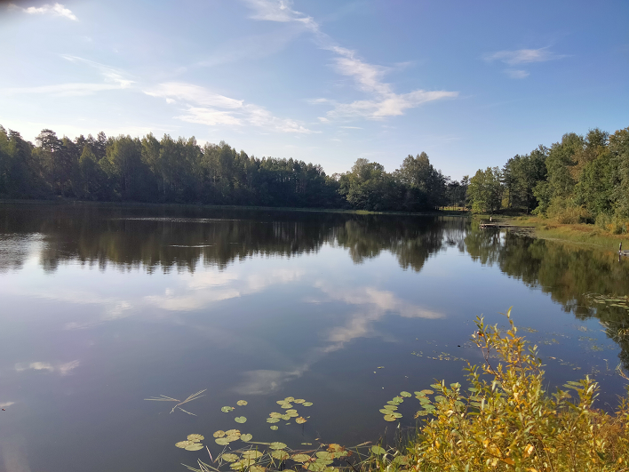 ОСЕНЬЮ НА ОЗЕРЕ смотреть онлайн