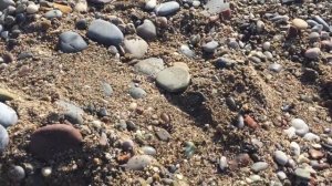 7 МИНУСОВ отеля MUKARNAS SPA RESORT 5* Turkey. Отрицательный отзыв. 27.10-05.11.2019 Отдых с детьми