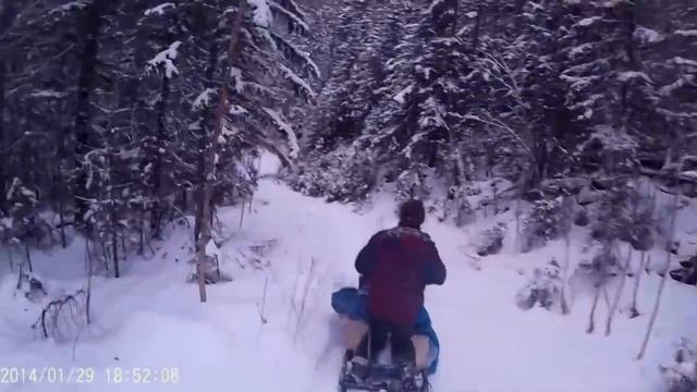 Заезд на промысел на мотособаках смотреть онлайн