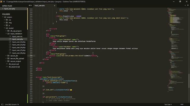 Secure Programming 2 Securing Input String Number Date and File Upload with JS, JQuery and PHP смотреть онлайн