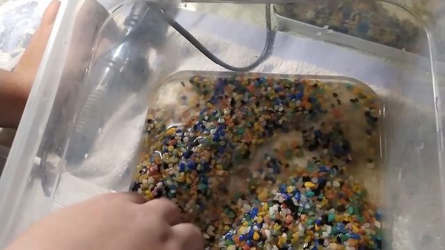 Наведение чистоты в аквариуме. Застрял сомик-Винни Пух? Улитка родила. ???? смотреть онлайн