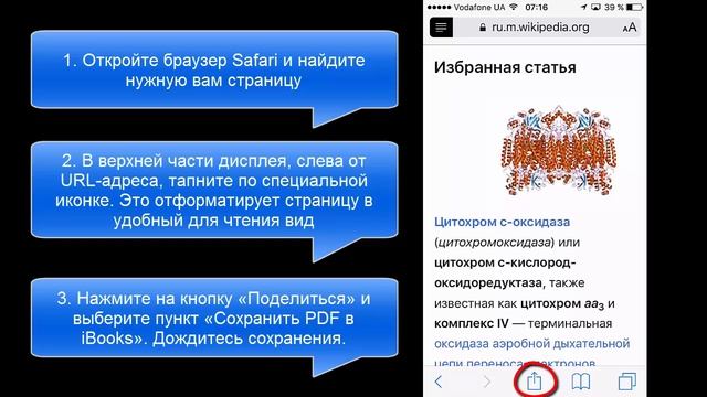 Как сохранить страницу сайта в Safari на iPhone (iPad) для офлайн просмотра смотреть онлайн