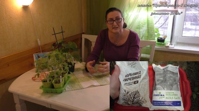 Исправляем грунт горохом ... смотреть онлайн