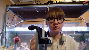 ВСЕ ПРО ЩЕЛОЧНОСТЬ В МОРСКОМ АКВАРИУМЕ.