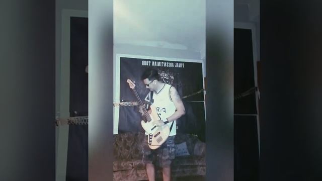Limp Bizkit - My Way ( BASS Cover) смотреть онлайн
