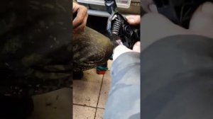 Как разобрать электронную педаль газа на хендай Аванта