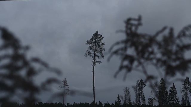 loneliness (Sony a6000/ Sony 18-55) смотреть онлайн
