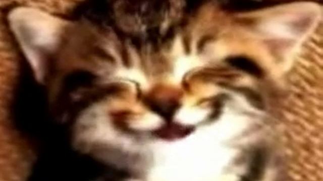 музыкальные поздравления с днем рождения подруге видео смотреть онлайн