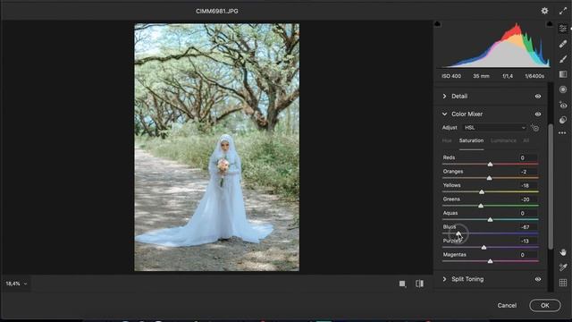 Free Preset Ala imagenic Gusmank Lightroom CC Photoshop CC Android смотреть онлайн