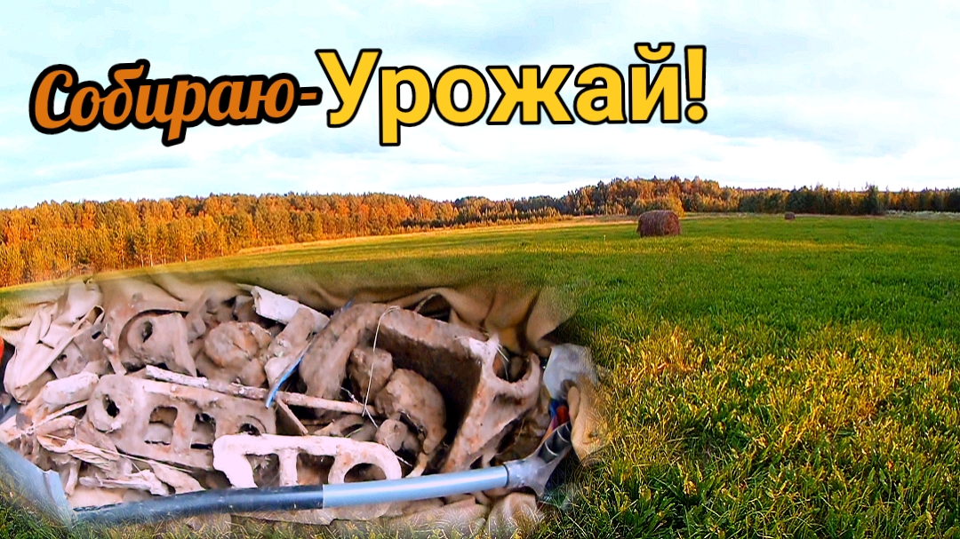 Копаю металл как картошку-собираю урожай! смотреть онлайн