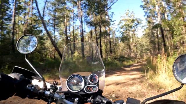 Saved by the side-stand! | Royal Enfield Himalayan | Engine sounds смотреть онлайн