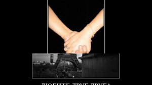 Султан Трамов Мой Друг (LIGA_dvd)