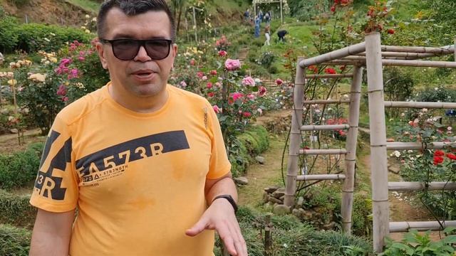 27 мая Ботанический сад Батуми цветение роз смотреть онлайн