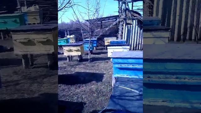 Праздник весны 8 марта 2020 года! смотреть онлайн