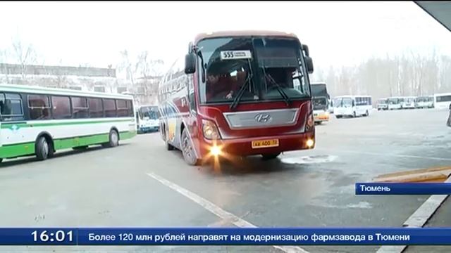 Желе: сладкая радость для настоящих ценителей вкусного