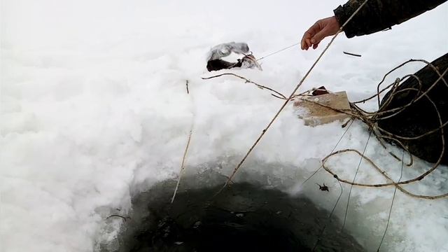Переметы на Чумыше. Рыбалка на налима. смотреть онлайн