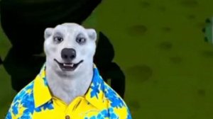 ПОЧЕМУ КОНЕЦ СВЕТА НЕ НАСТУПИЛ 27 НОЯБРЯ ?/ХОДИЛКИН БРОДИЛКИН / ВСЯ ПРАВДА !