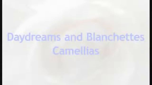 Krigler - Extraordinaire Camelia 209 смотреть онлайн