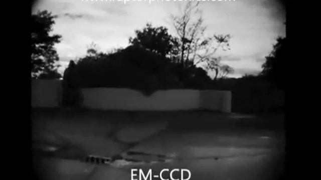 Raptor Photonics Hawk EMCCD compared to Sony EXview CCD in night time conditions смотреть онлайн