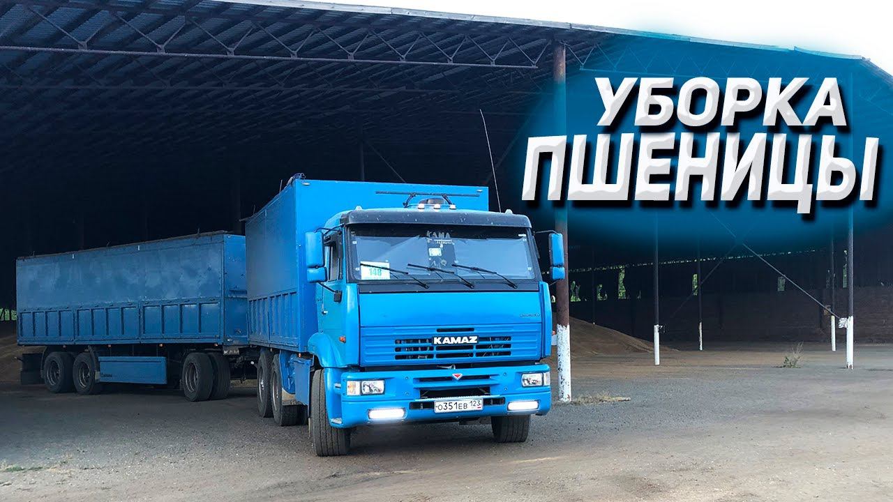 Уборка пшеницы на КАМАЗЕ смотреть онлайн