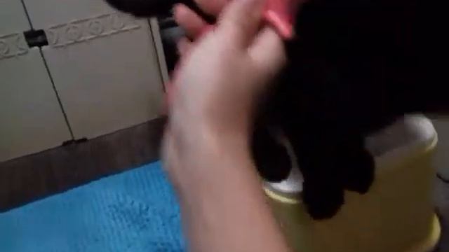 Как правильно чесать кота или кошку смотреть онлайн