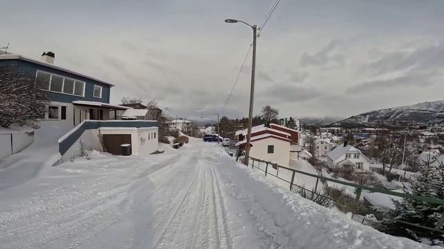 Winter Walk In Norway, Narvik