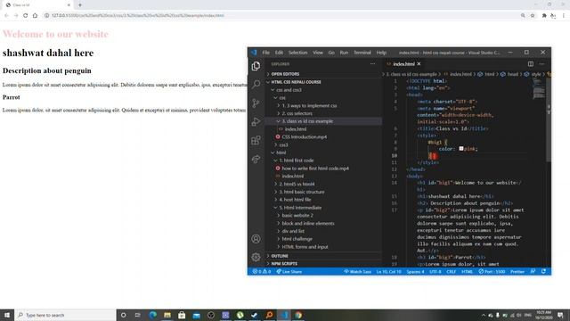 CSS ID vs Tag vs class selectors | How to put multiple classes in HTML tags (Nepali) смотреть онлайн