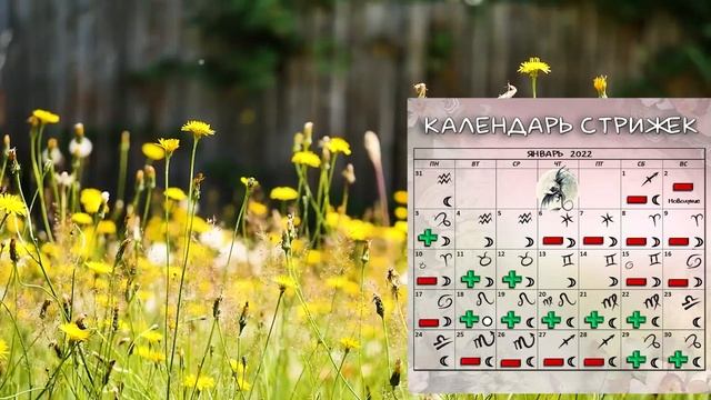 Стрижки в январе + ритуал для волос | Календарь стрижек #календарьстрижек #стрижкиянварьрь #ритуал смотреть онлайн