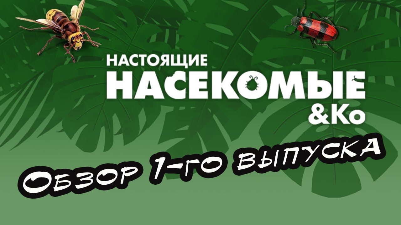 Настоящие насекомые и Ко. | 1 выпуск | DeAgostini смотреть онлайн