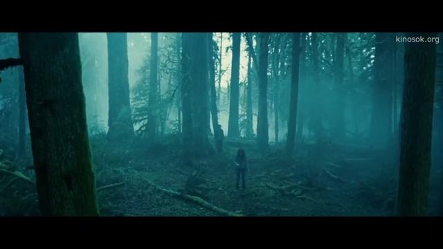Сумерки / Гарри Поттер смотреть онлайн