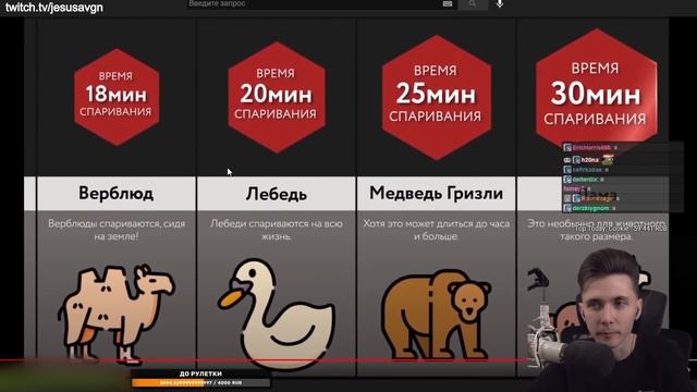 ХЕСУС СМОТРИТ: Время Спаривания Животных смотреть онлайн