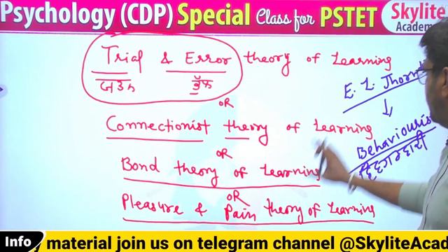 Pstet 2024 | CDP | Trial & Error theory of Learning | Demo -02 | Skylite Academy смотреть онлайн
