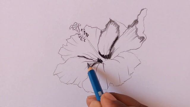 How to draw artistic flower drawing / hibiscus drawing easy for beginners смотреть онлайн
