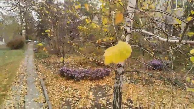 День единства народов от Золотарёвского СДК смотреть онлайн