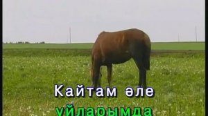 Әлдермешкә кайтам әле.Караоке Татарча