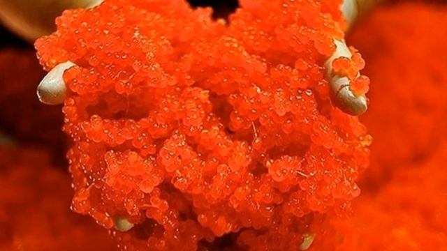 Содержание ценных белков в различных продуктах смотреть онлайн