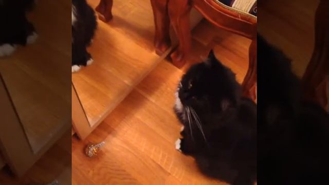 Самолюбование и скромность смотреть онлайн