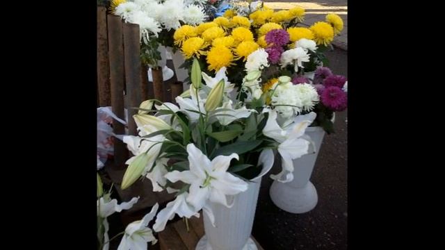 Осень в Щёкино  2013 год