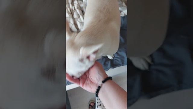 купили на день его рождения лестницу,сегодня 3 года❤️❤️❤️ смотреть онлайн