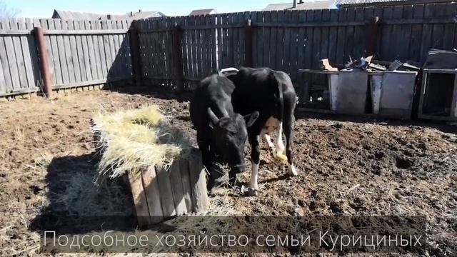 Углич /Власть БЕЗ Ретуши ( начало года ) часть 19 смотреть онлайн