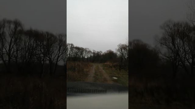 Зоти т600 на лёгком бездорожье 3