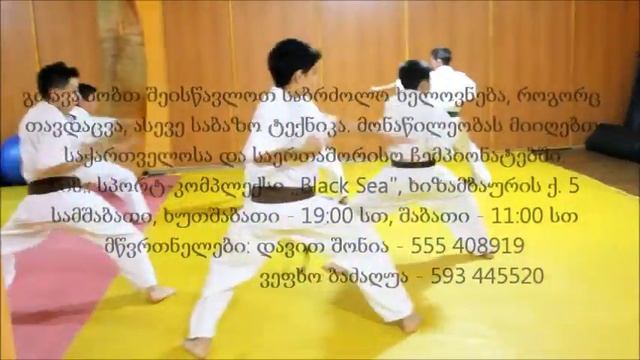 Davit Shonia Kyokushin Karate Club смотреть онлайн