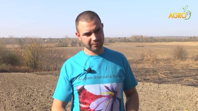 Земеделие на фокус: Мераклии за шафран, автор Анета Божидарова смотреть онлайн