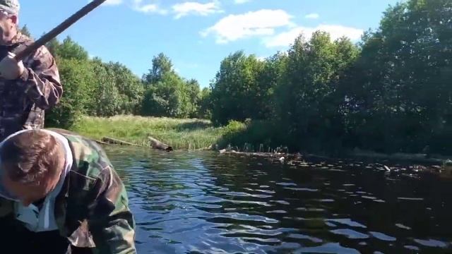 Лес и река (Новокемский, Вашкинский район, река Кема) смотреть онлайн